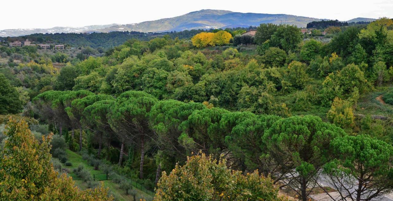 Pieve Suites Città della Pieve Eksteriør bilde